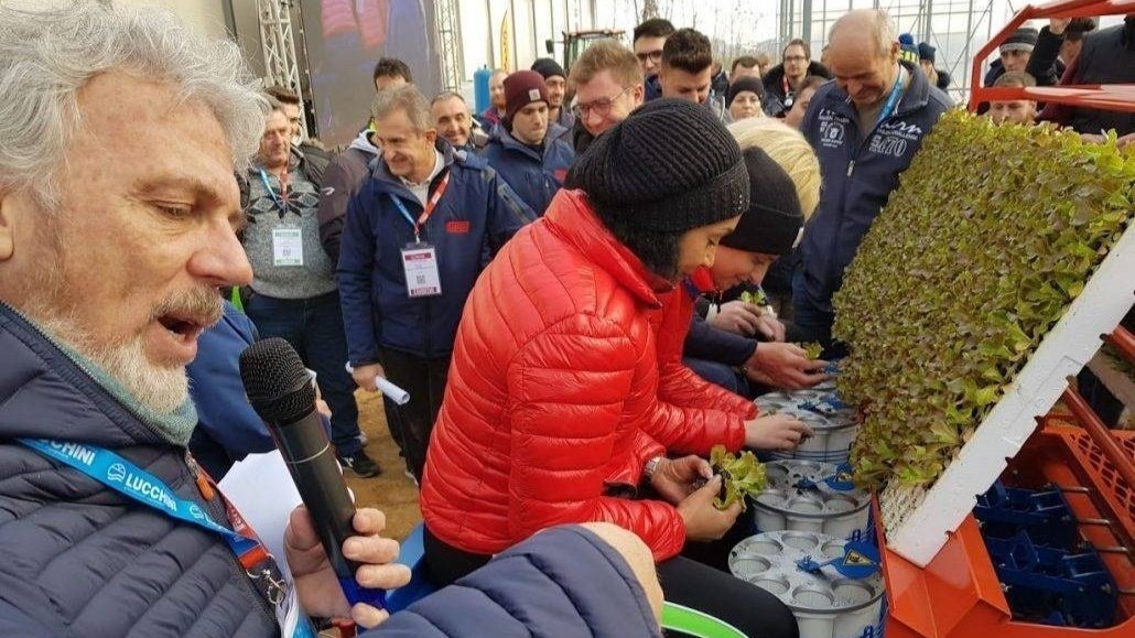 ferrari-growtech-orticultura|orticoltura tecnica in campo 024|ferrari-growtech-orticultura|ferrari-growtech-orticultura